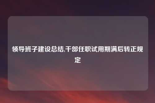 领导班子建设总结,干部任职试用期满后转正规定