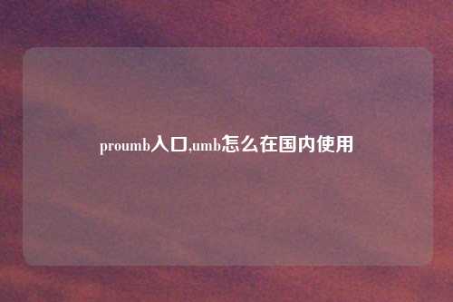 proumb入口,umb怎么在国内使用