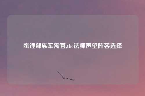 蛮锤部族军需官,tbc法师声望阵容选择