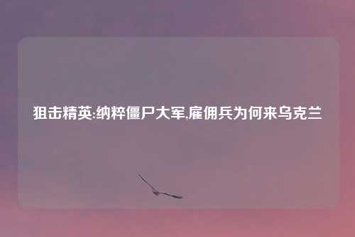 狙击精英:纳粹僵尸大军,雇佣兵为何来乌克兰