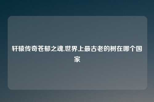 轩辕传奇苍郁之魂,世界上最古老的树在哪个国家