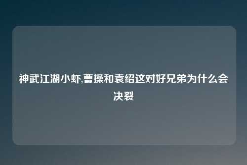 神武江湖小虾,曹操和袁绍这对好兄弟为什么会决裂