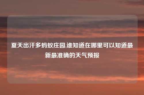 夏天出汗多蚂蚁庄园,谁知道在哪里可以知道最新最准确的天气预报