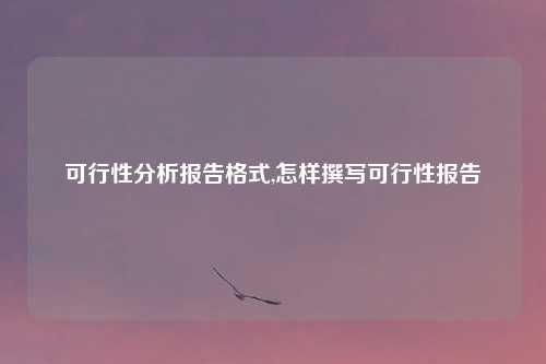 可行性分析报告格式,怎样撰写可行性报告