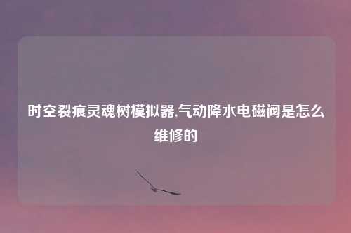 时空裂痕灵魂树模拟器,气动降水电磁阀是怎么维修的