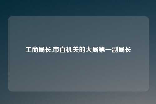 工商局长,市直机关的大局第一副局长