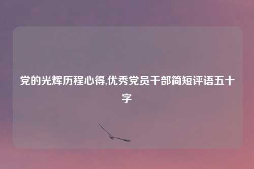 党的光辉历程心得,优秀党员干部简短评语五十字