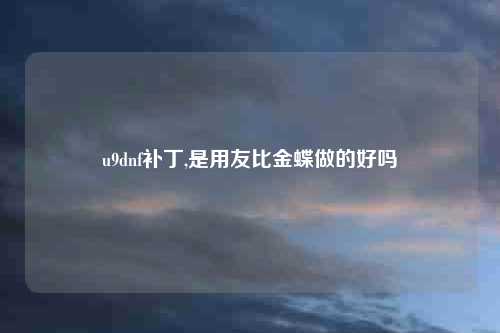 u9dnf补丁,是用友比金蝶做的好吗