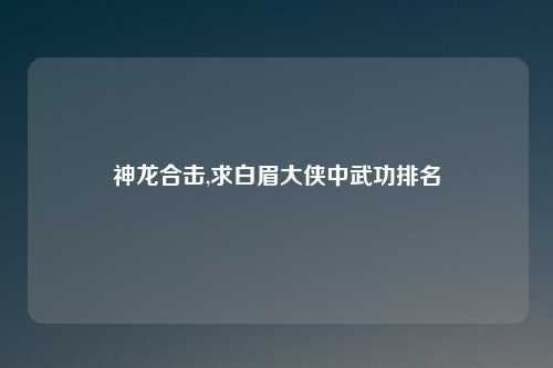 神龙合击,求白眉大侠中武功排名