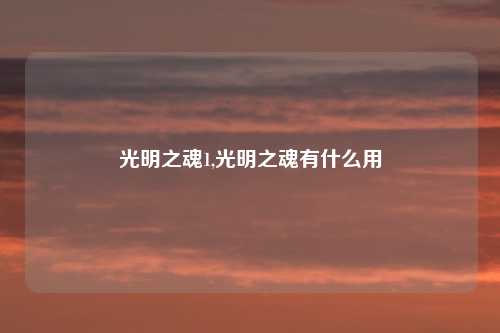 光明之魂1,光明之魂有什么用