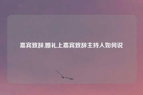 嘉宾致辞,婚礼上嘉宾致辞主持人如何说