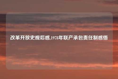 改革开放史观后感,1978年联产承包责任制感悟