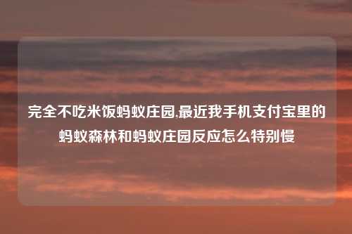 完全不吃米饭蚂蚁庄园,最近我手机支付宝里的蚂蚁森林和蚂蚁庄园反应怎么特别慢