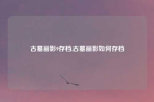 古墓丽影9存档,古墓丽影如何存档