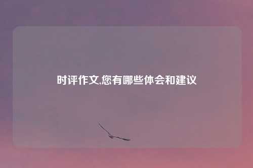时评作文,您有哪些体会和建议