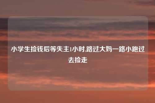 小学生捡钱后等失主1小时,路过大妈一路小跑过去捡走
