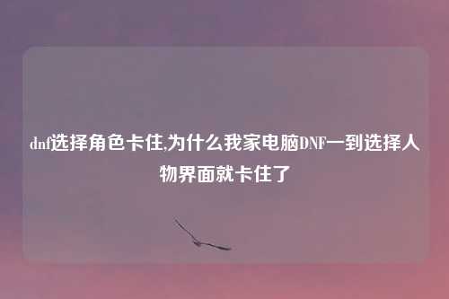 dnf选择角色卡住,为什么我家电脑DNF一到选择人物界面就卡住了
