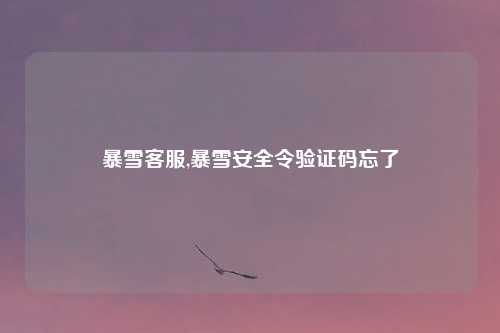 暴雪客服,暴雪安全令验证码忘了