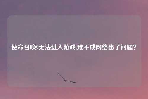 使命召唤9无法进入游戏,难不成网络出了问题？