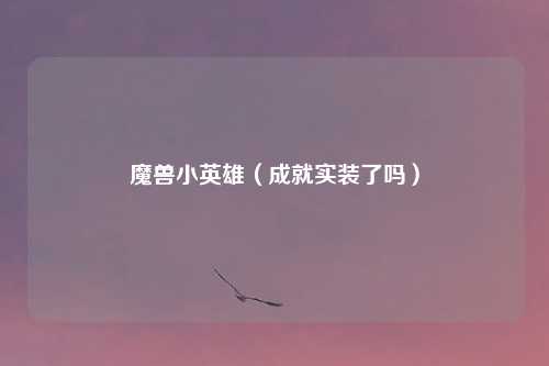 魔兽小英雄（成就实装了吗）