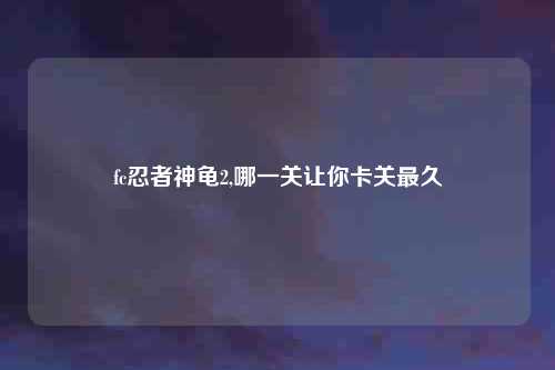 fc忍者神龟2,哪一关让你卡关最久