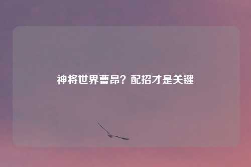 神将世界曹昂？配招才是关键