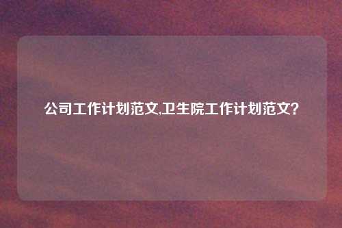 公司工作计划范文,卫生院工作计划范文？