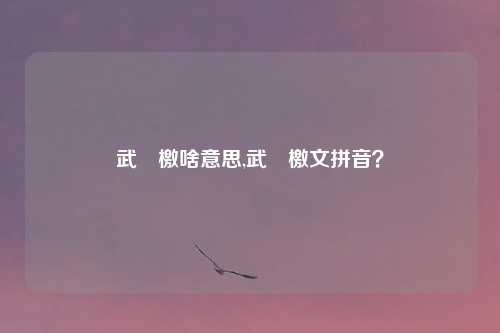 武曌檄啥意思,武曌檄文拼音？