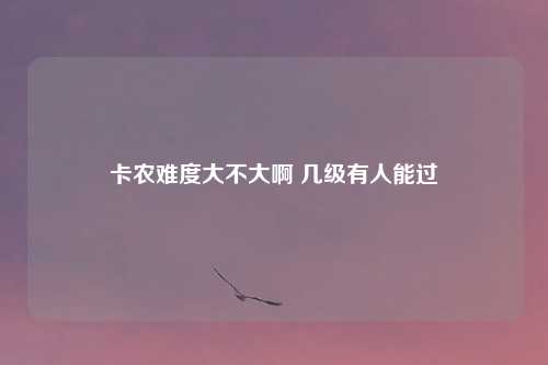 卡农难度大不大啊 几级有人能过