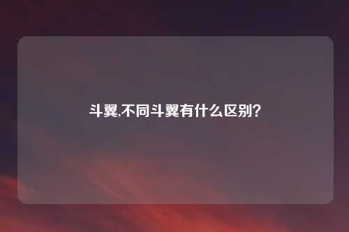 斗翼,不同斗翼有什么区别？