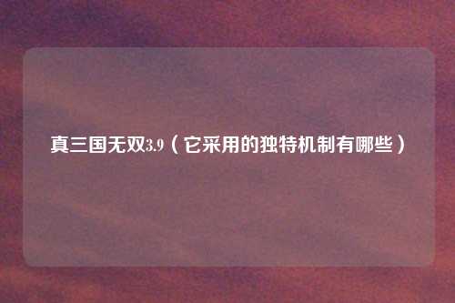 真三国无双3.9（它采用的独特机制有哪些）