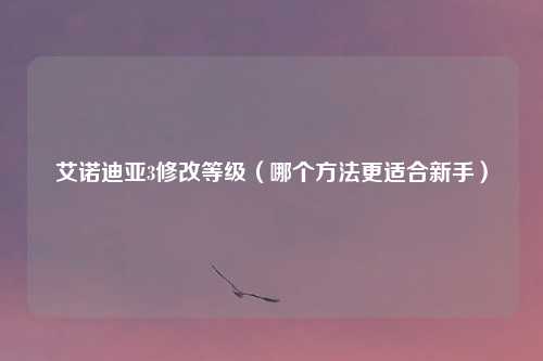 艾诺迪亚3修改等级（哪个方法更适合新手）