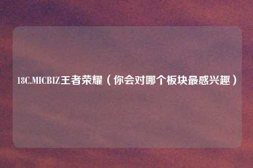 18C.MICBIZ王者荣耀（你会对哪个板块最感兴趣）