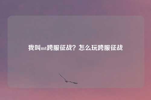 我叫mt跨服征战？怎么玩跨服征战