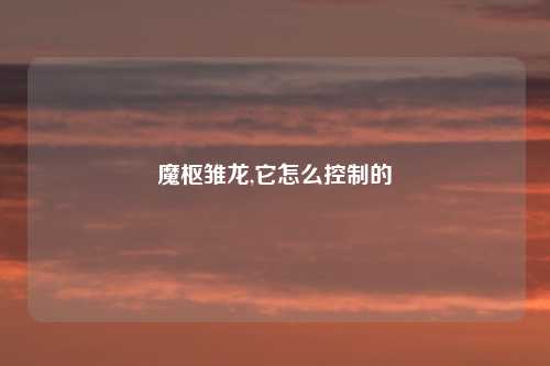 魔枢雏龙,它怎么控制的