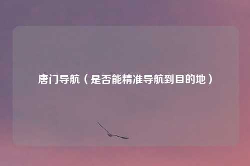 唐门导航（是否能精准导航到目的地）