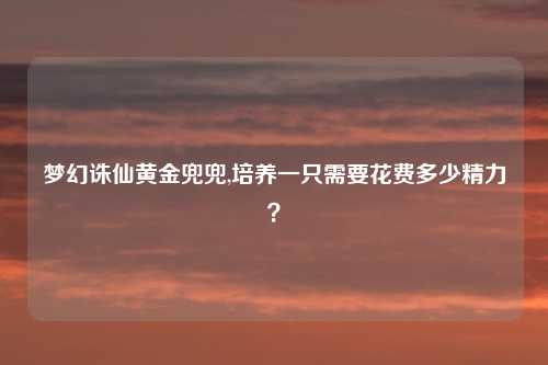 梦幻诛仙黄金兜兜,培养一只需要花费多少精力？