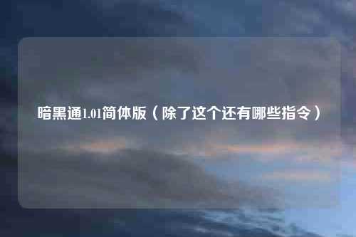 暗黑通1.01简体版（除了这个还有哪些指令）