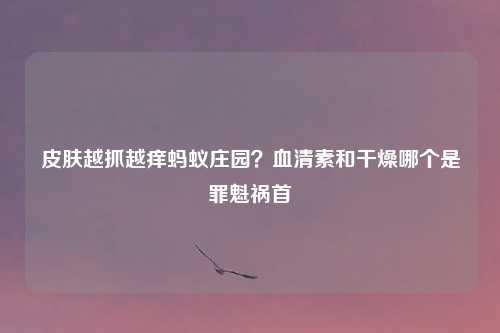 皮肤越抓越痒蚂蚁庄园？血清素和干燥哪个是罪魁祸首