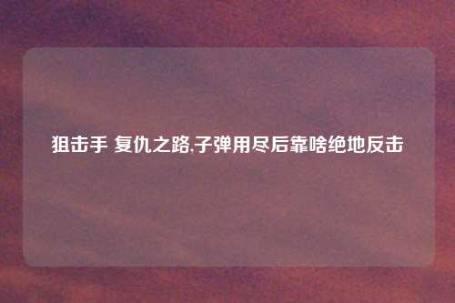 狙击手 复仇之路,子弹用尽后靠啥绝地反击