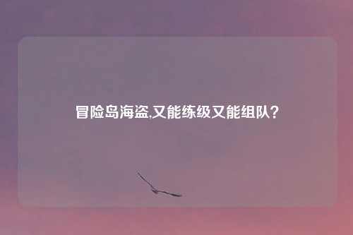 冒险岛海盗,又能练级又能组队？