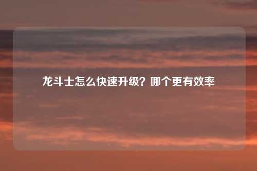 龙斗士怎么快速升级？哪个更有效率