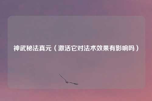 神武秘法真元（激活它对法术效果有影响吗）