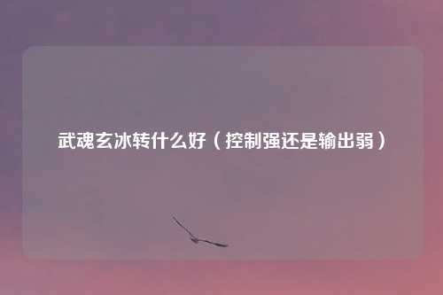武魂玄冰转什么好（控制强还是输出弱）