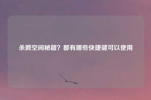 杀戮空间秘籍？都有哪些快捷键可以使用
