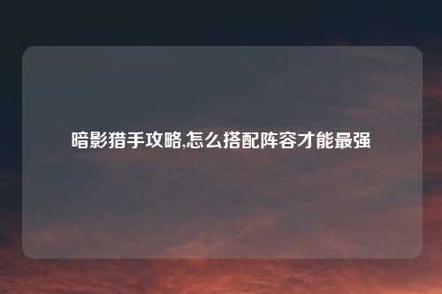 暗影猎手攻略,怎么搭配阵容才能最强