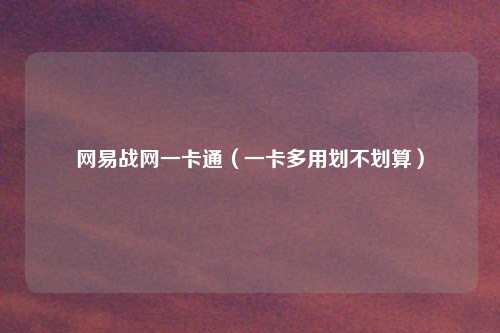 网易战网一卡通(一卡多用划不划算)