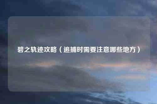 碧之轨迹攻略（追捕时需要注意哪些地方）