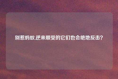 别惹蚂蚁,逆来顺受的它们也会绝地反击？