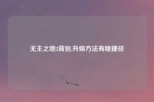 无主之地2背包,升级方法有啥捷径